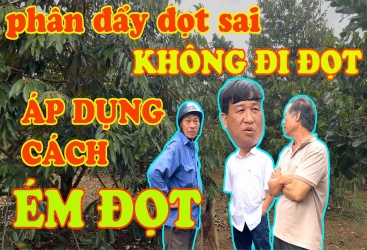 TẠI SAO KHÔNG ĐẨY ĐỌT ĐƯỢC - CÁCH XỬ LÝ NHƯ THẾ NÀO - VƯỜN ANH CHIẾN YALY - GIALAI